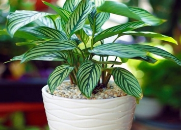 Travis Scott Reveals Early Sample Of His Nike 2022