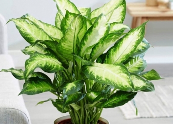 Travis Scott Reveals Early Sample Of His Nike 2023